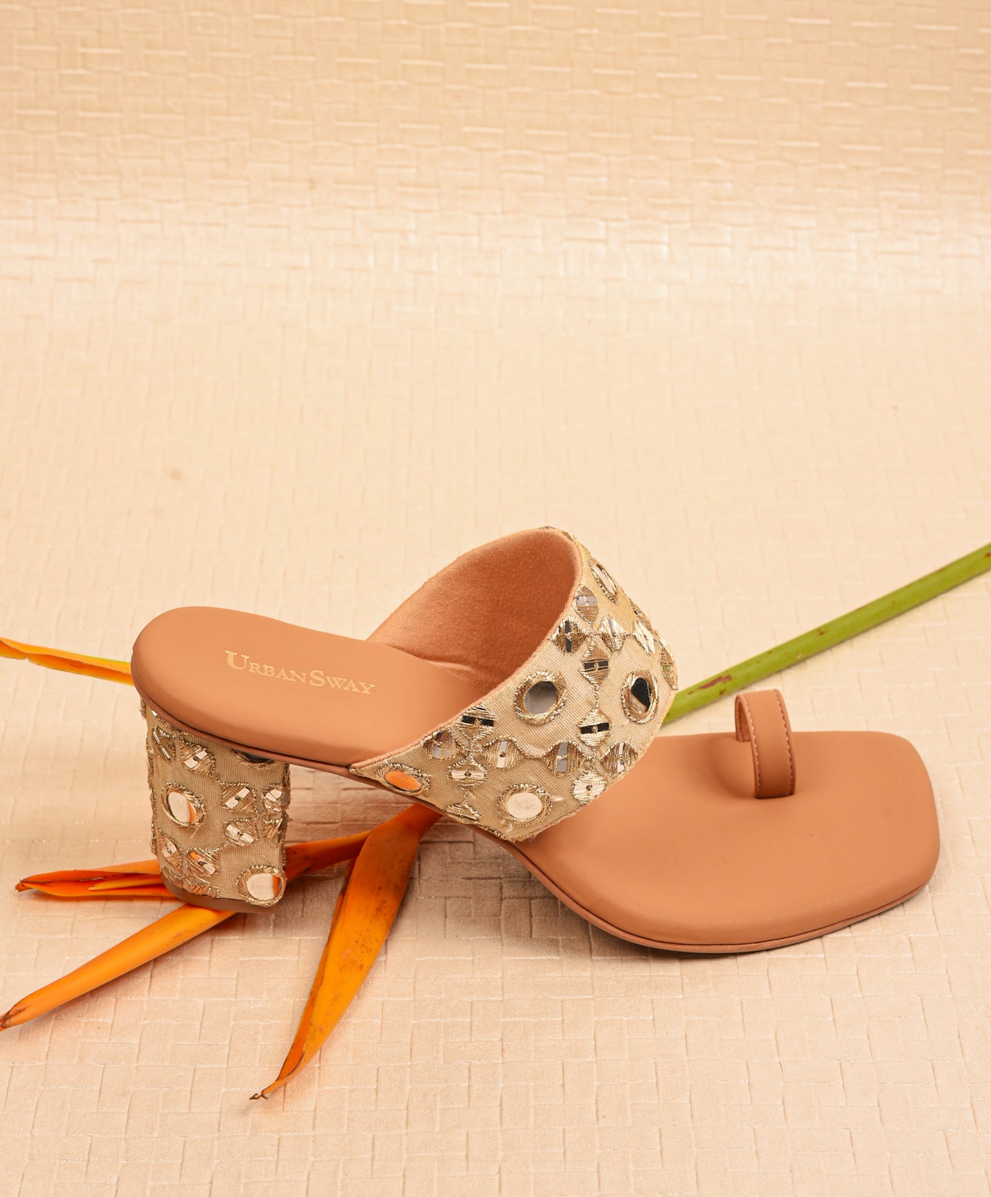 Aaina Heels