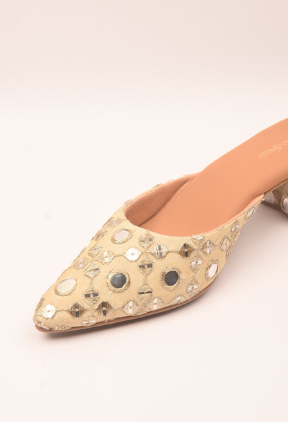 Aaina Mules